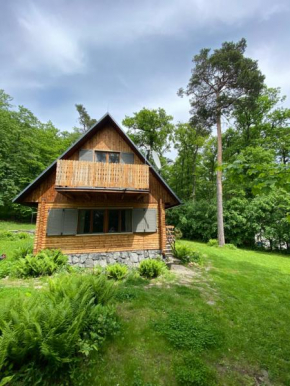 Wooden house in the nature Modra